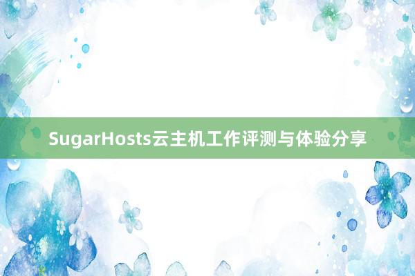 SugarHosts云主机工作评测与体验分享